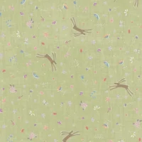 Tela Slow and Steady de Anni Downs, referencia 7427