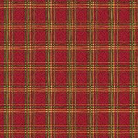 Star of Wonder Red Plaid Christmas